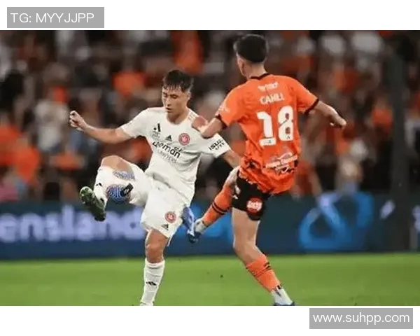 惠灵顿与布里斯班12的精彩对决分析及赛季展望