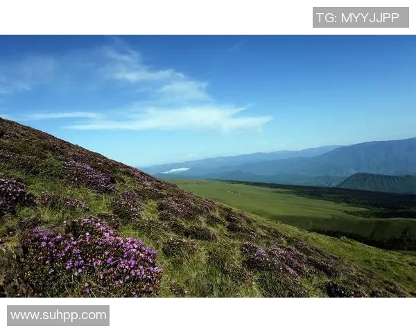哈德森的魅力探秘：从历史到现代的文化之旅与自然风光的完美结合