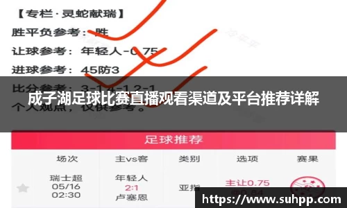 一竞技全站